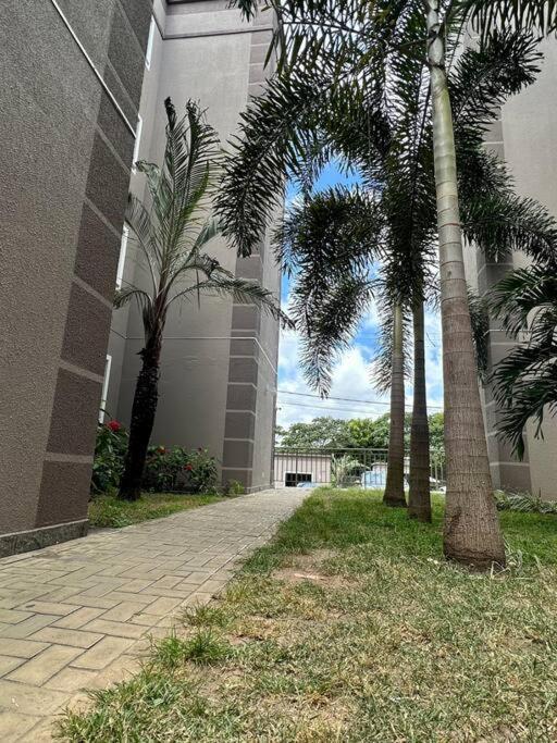 Aconchegante Apt Em Joao Pessoa Ngoại thất bức ảnh